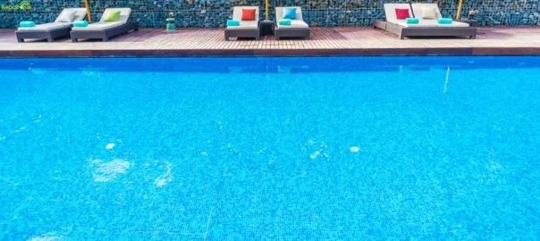 A Step-by-Step Guide to Comprehensive Pool Maintenance